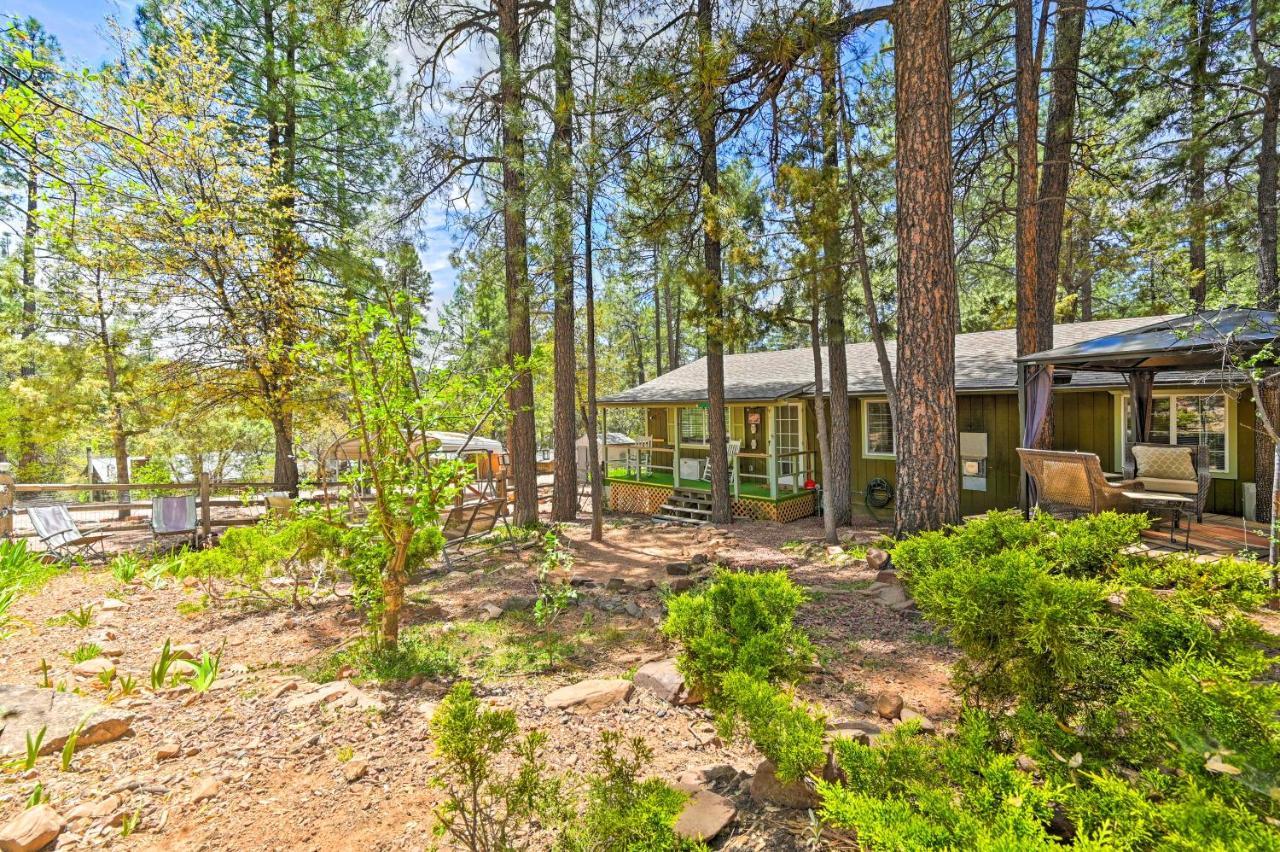 Pine Cabin In The Woods With Yard And Grill! Zewnętrze zdjęcie